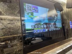 2022天津塘沽夜總會(huì)招聘模特絕非中介機(jī)構(gòu)不收取任何中介費(fèi)用