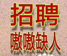北京夜場招聘服務(wù)員服務(wù)生